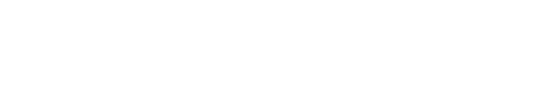 Paradox Agency White Logo